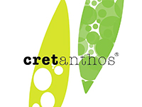 Cretanthos Βιολογικό Ελαιόλαδο Κρήτη